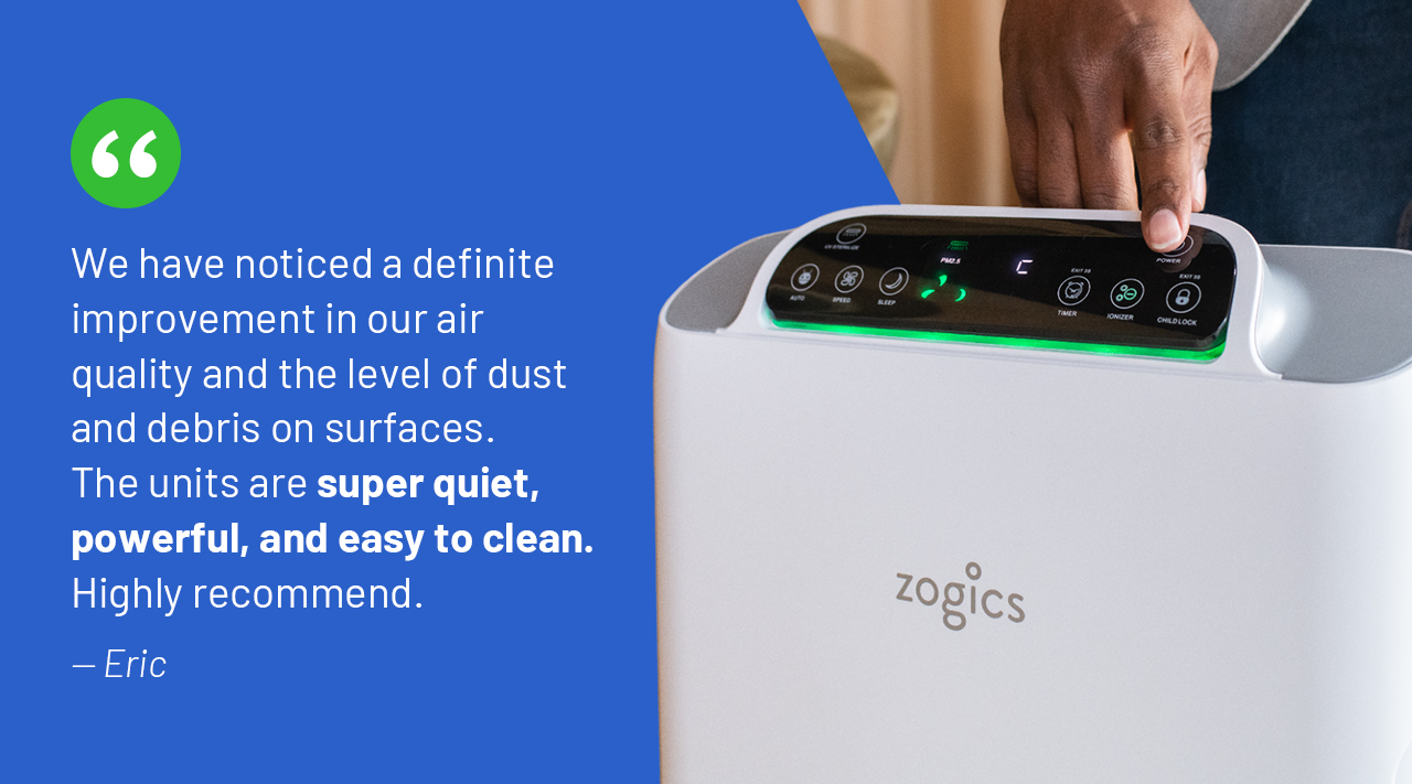 Air Purifier Review