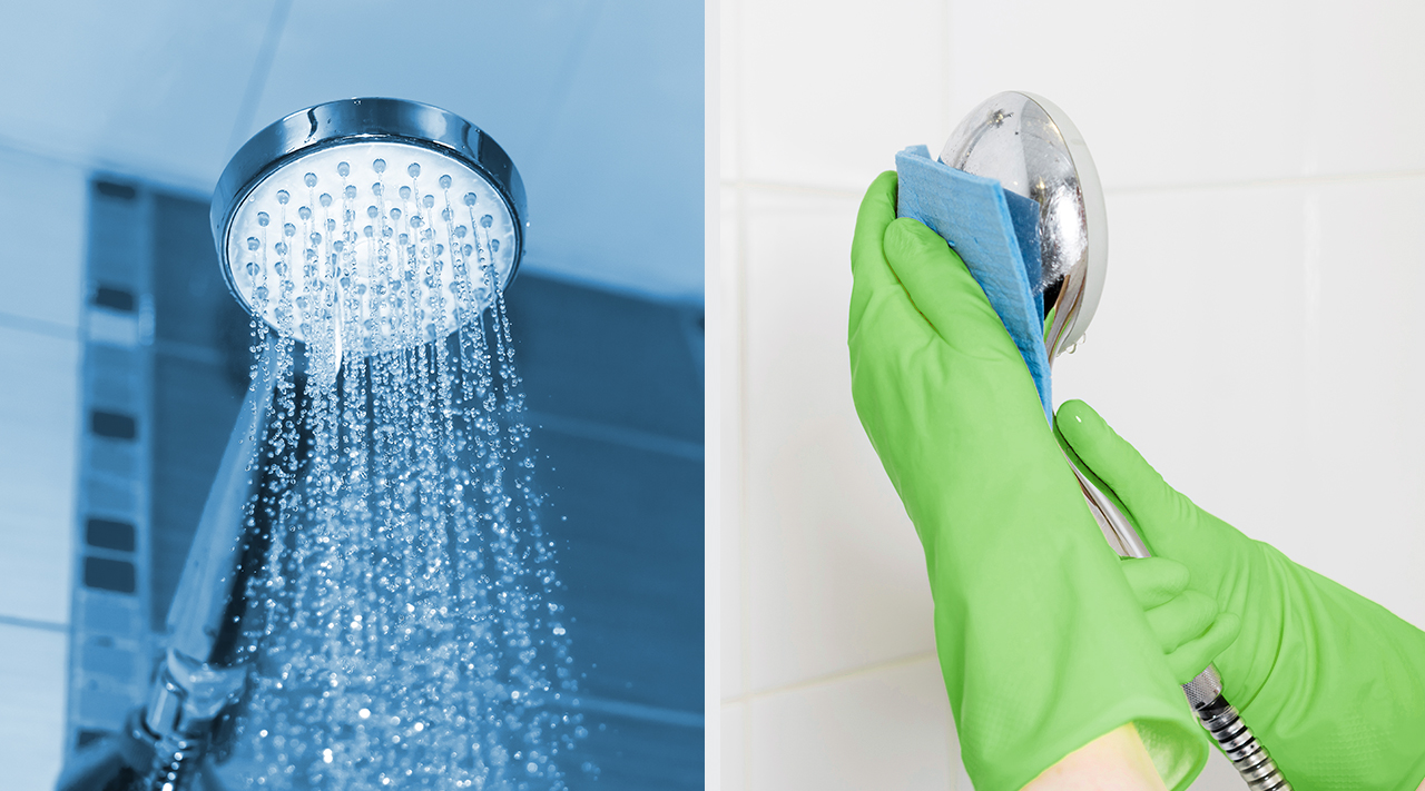 How to choose the best shower cleaner