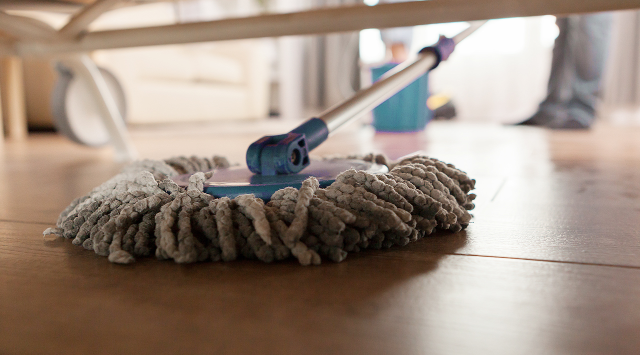 types of mops for cleaning